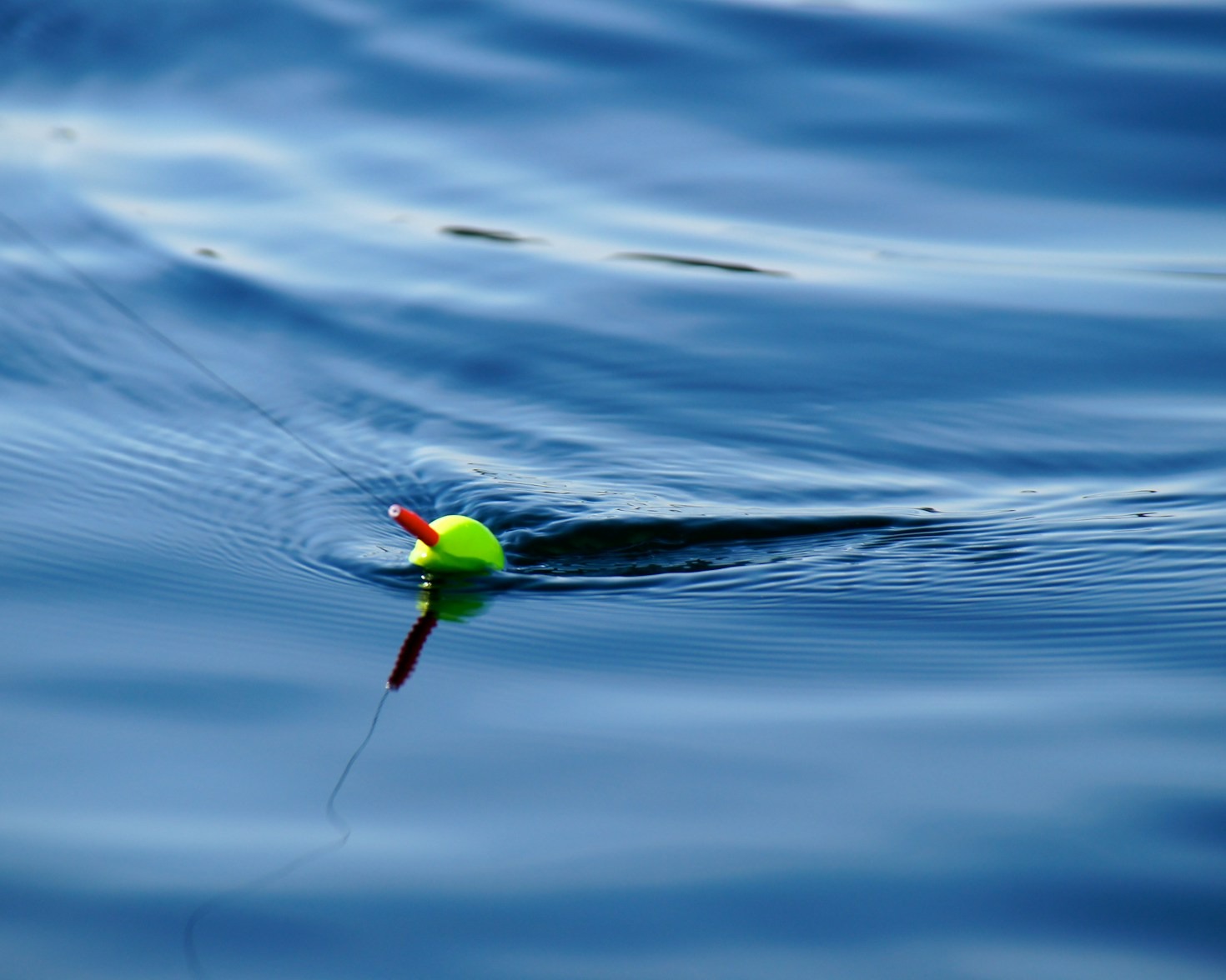 Exploring the Benefits of Soft Plastic Lures