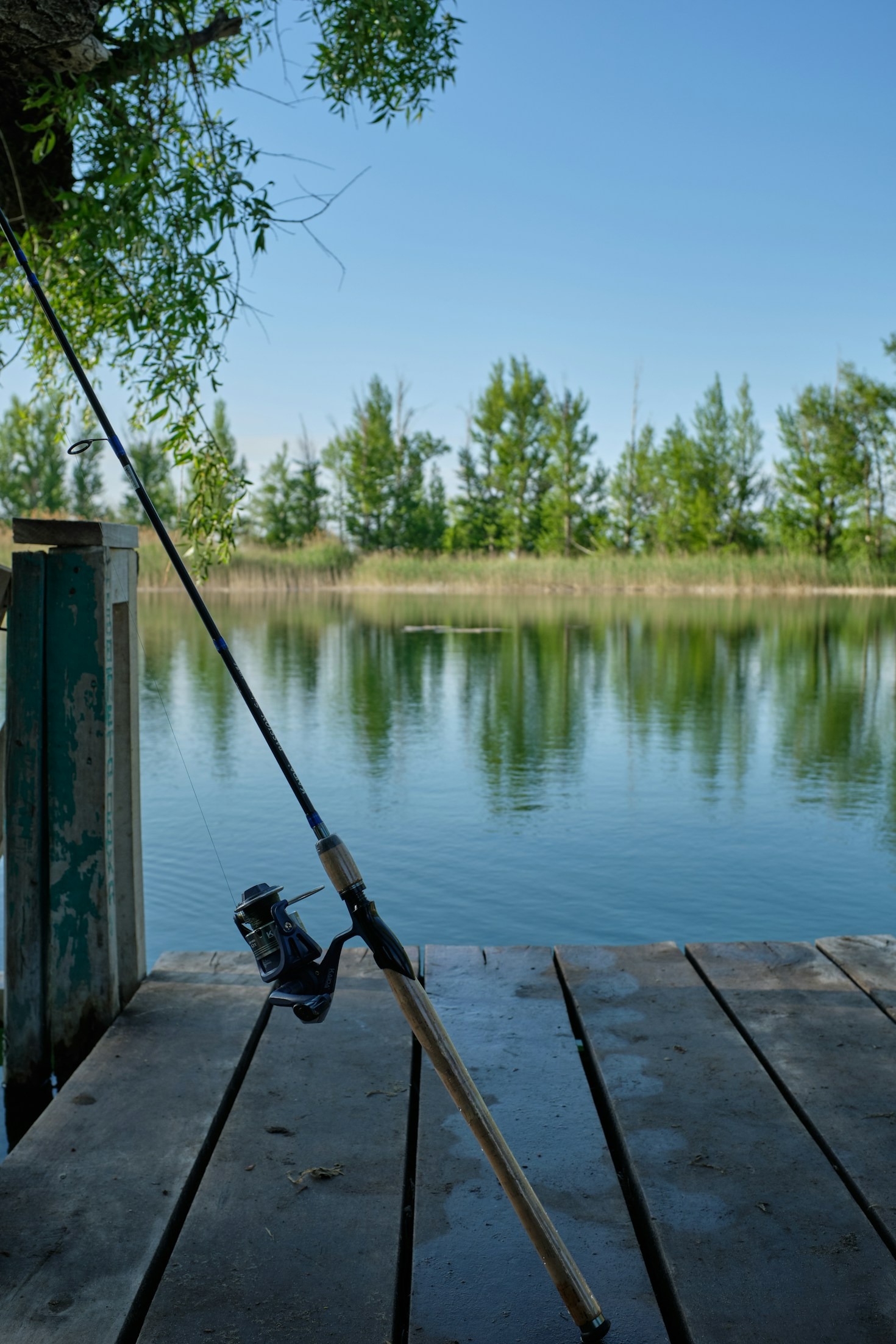 Maximize Your Fishing Success with Premium Jigs